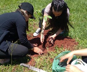 Realizan jornada de arborización