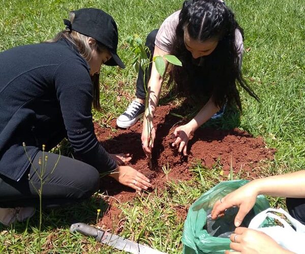 Realizan jornada de arborización