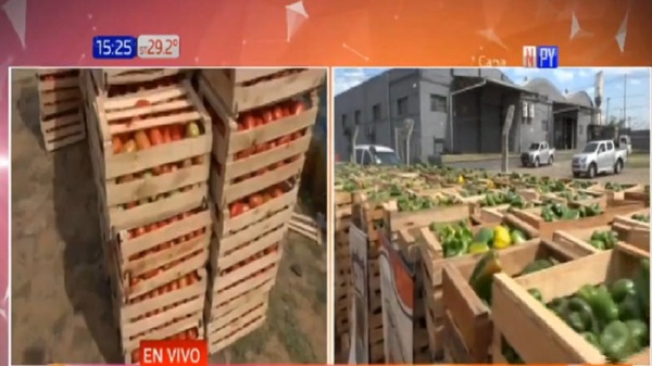 Incautan 33 toneladas de productos frutihorticolas de presunto contrabando - Noticias Paraguay