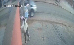 Chipera se salva “milagrosamente” de ser arrollada por camioneta - Noticiero Paraguay