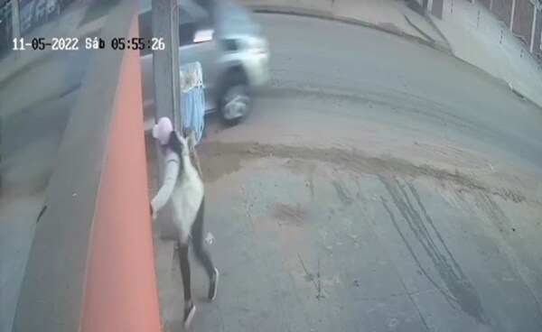 Chipera se salva “milagrosamente” de ser arrollada por camioneta - Noticiero Paraguay