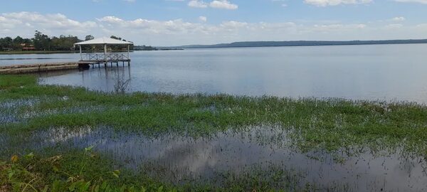 Detectan florecimiento de cianobacterias a orillas del lago Ypacaraí - Nacionales - ABC Color