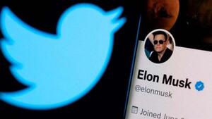Diario HOY | Cuentas verificadas de Twitter fueron suspendidas por hacerse pasar por @elonmusk