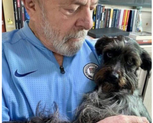 La perrita callejera de Lula da Silva, que ahora vivirá, en el Palacio de Gobierno