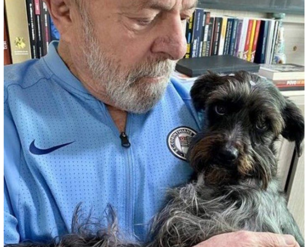 La perrita callejera de Lula da Silva, que ahora vivirá, en el Palacio de Gobierno