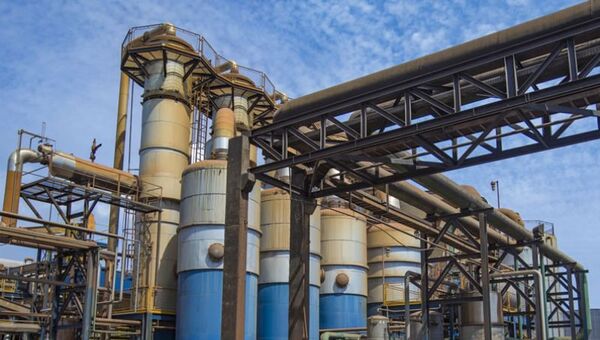 Inpasa creció 8% en ventas y puso más de US$ 10 millones en obras para mejorar la producción