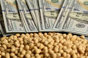 Expectativas de zafra exitosa llevan a aumento de 24% de créditos en dólares, a pesar del alza en la cotización - MarketData