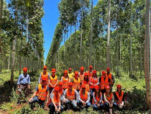 Dan cierre a jornada de plantaciones forestales con miras al desarrollo de finanzas sostenibles - .::Agencia IP::.