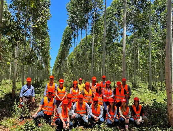 Dan cierre a jornada de plantaciones forestales con miras al desarrollo de finanzas sostenibles - .::Agencia IP::.