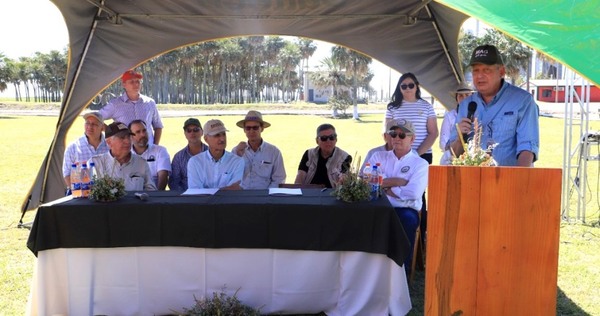 Crean la mesa de competitividad del arroz