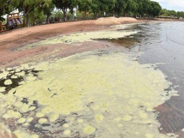 Insisten en más acciones para reducir la contaminación en el lago Ypacaraí · Radio Monumental 1080 AM