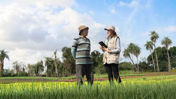 Sistema de Censo Agropecuario es presentado como ejemplo en Chile | Agronegocios | 5Días