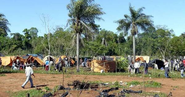 La Nación / Denuncian que campesinos invadieron una propiedad privada en San Pedro