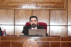 Senador exige al Gobierno aclarar información brindada por Dina Coronel sobre caso Denis - ADN Digital