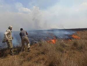 Incendios provocados: objetivo es desestabilizar a productores, dice ganadero | 1000 Noticias
