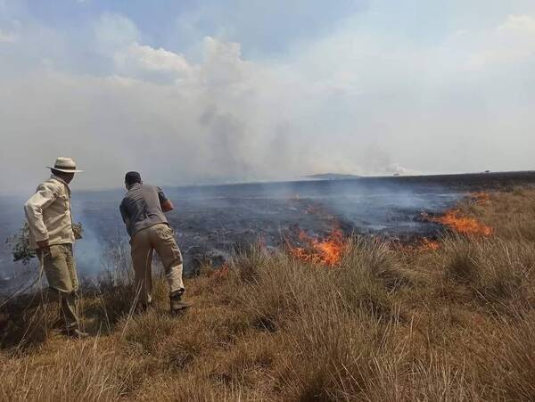 Incendios provocados: objetivo es desestabilizar a productores, dice ganadero | 1000 Noticias