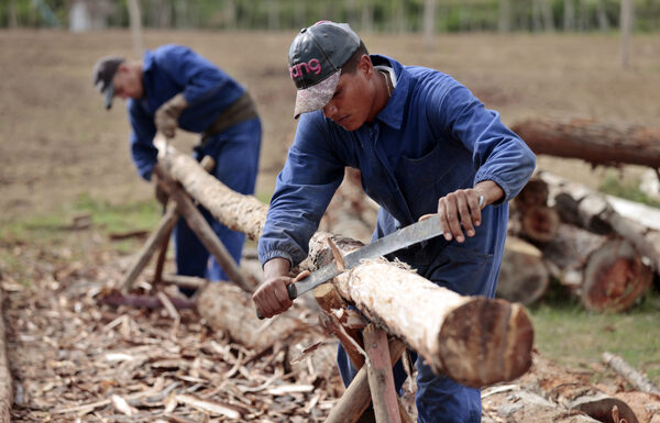 El tabaco cubano se recupera a fuego lento tras el paso del huracán Ian - MarketData