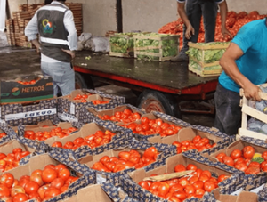 Incautan 33 toneladas de productos frutihorticolas que habrían ingresado de forma irregular · Radio Monumental 1080 AM