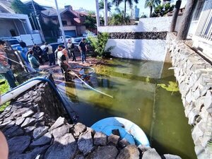 Hace calor y hay lluvias: caldo “ideal” para los mosquitos - Nacionales - ABC Color