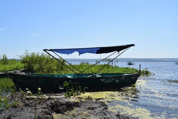 Digesa tomará muestras de agua del lago Ypacaraí para determinar si algas son tóxicas o no, anuncian - Nacionales - ABC Color