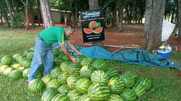 Producción de sandía fortalece a dos municipios del Dpto. de Itapúa