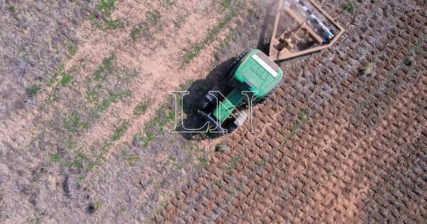 La Nación / Los riesgos para la actividad económica se derivan principalmente de la evolución del clima