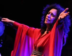Falleció la gran cantante brasileña Gal Costa - Música - ABC Color