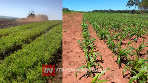 CASI 14.000 PRODUCTORES ASISTIDOS CON EL PROGRAMA ÑEMITY 4.0