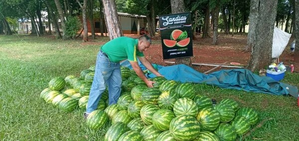 Producción de sandía fortalece a dos municipios del Dpto. de Itapúa