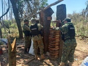Destruyen campamento de procesamiento de marihuana en Lima - Policiales - ABC Color