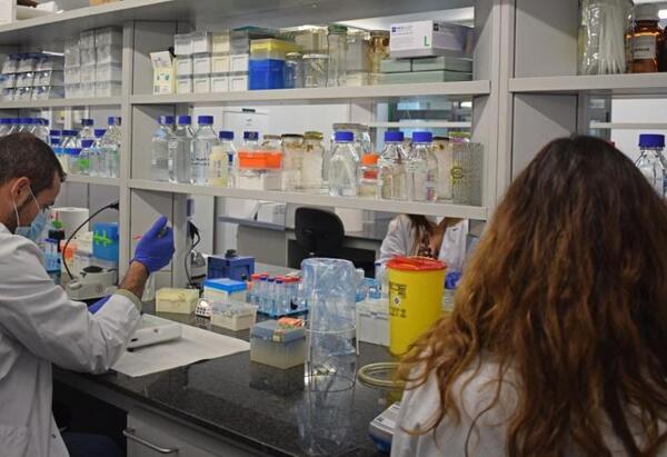 Descubren un biomarcador para detectar el cáncer de colon en etapas iniciales