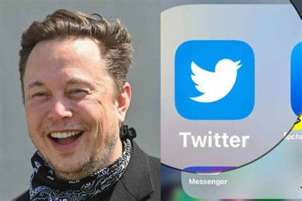 Elon y su forma de liberar aves - El Independiente