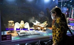 Museo de la Tierra Guaraní cerrará para reformas