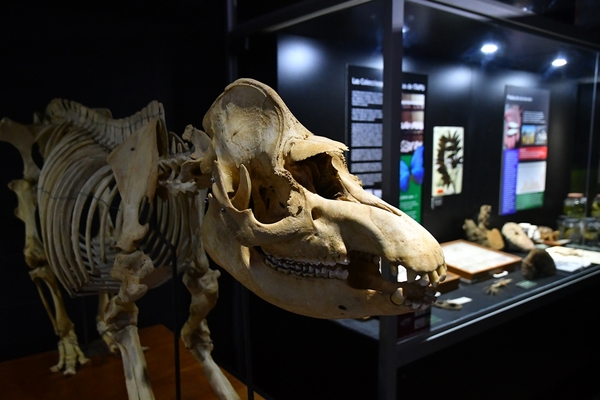 Museo Tierra Guaraní cierra sus puertas temporalmente - Noticde.com
