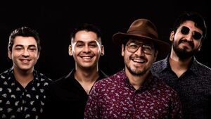 Versión Palma Loma Blues realiza el Palmalomapalooza