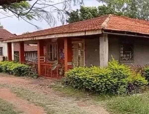 Crónica / Abuelita fue víctima de violento asalto en Itapúa
