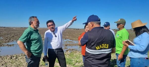 Senado declara emergencia la cuenca del lago Ypoá y urge al Mades tomar acciones contra arroceras  - Política - ABC Color
