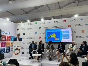 Consejera Gwynn de Itaipú expuso en un evento paralelo a la COP 27 - Economía - ABC Color