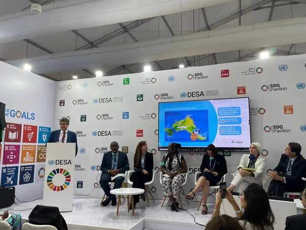 Consejera Gwynn de Itaipú expuso en un evento paralelo a la COP 27 - Economía - ABC Color