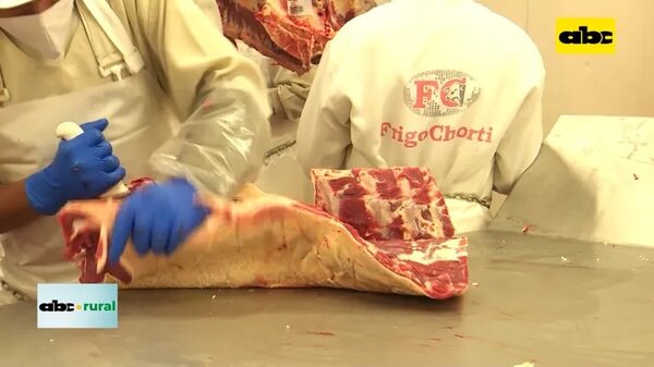 Mercados de la carne paraguaya y a donde apuntar - ABC Rural - ABC Color