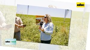 Syngenta mostró que agricultura extensiva y naturaleza crecen en armonía   - ABC Rural - ABC Color