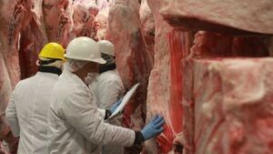 Las exportaciones de carne bovina se redujeron un 11% en octubre | Análisis Macro | 5Días