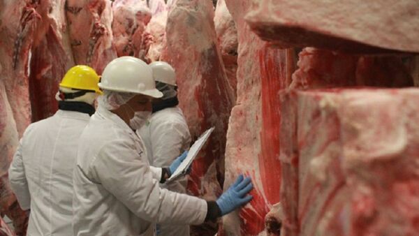 Las exportaciones de carne bovina se redujeron un 11% en octubre | Análisis Macro | 5Días
