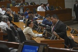 PGN 2023: diputados en campaña electoral reparten sueldos, bonificaciones y cargos - Economía - ABC Color