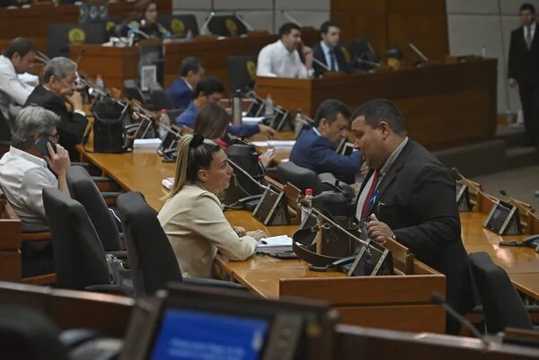 PGN 2023: diputados en campaña electoral reparten sueldos, bonificaciones y cargos - Economía - ABC Color