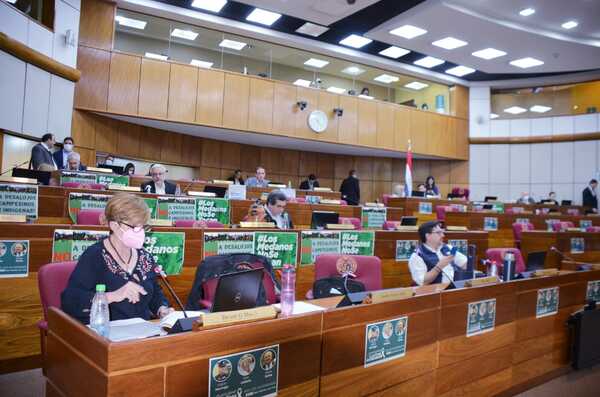 Diario HOY | Sesión quedó sin quórum y no trataron extender horario de las internas