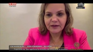 Senado dio media sanción a proyecto sobre «nacionalidad paraguaya natural y múltiple»