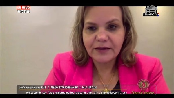 Senado dio media sanción a proyecto sobre «nacionalidad paraguaya natural y múltiple»
