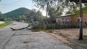 Fuertes ráfagas de viento y poca lluvia en el Chaco - Noticias del Chaco - ABC Color