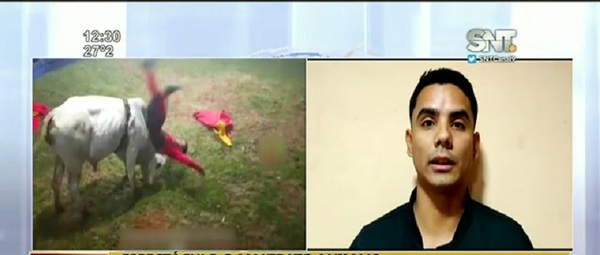 Torines polémicos: ¿Espectáculo o maltrato animal? - SNT